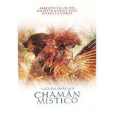 CARTAS ORACULO CHAMAN MISTICO (ESPAÑOL)