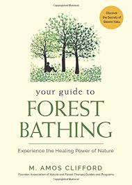 YOUR GUIDE TO FOREST BATHING. EXPERIENCE THE HEALING POWER OF NATURE