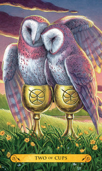TAROT OF THE OWLS KIT [INGLÉS]