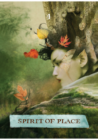 ENCHANTED MAP ORACLE CARDS, THE (INGLÉS)
