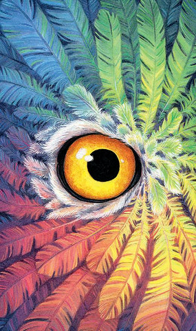 TAROT OF THE OWLS MINI DECK [INGLÉS]