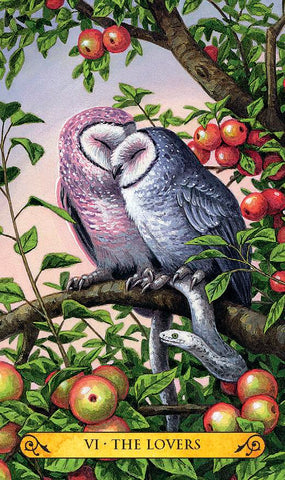 TAROT OF THE OWLS MINI DECK [INGLÉS]