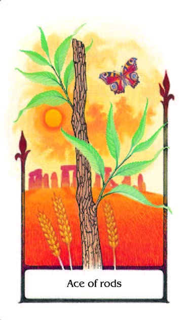 TAROT OF THE OLD PATH (INGLÉS)