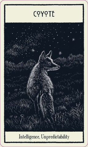 UNTAMED SPIRIT ANIMAL ORACLE