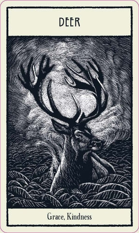 UNTAMED SPIRIT ANIMAL ORACLE