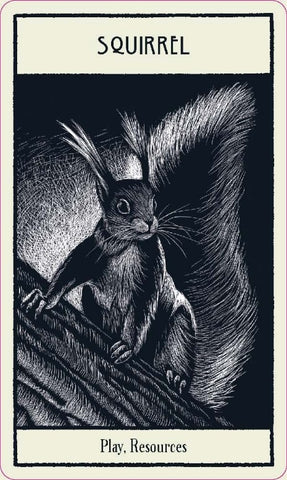 UNTAMED SPIRIT ANIMAL ORACLE