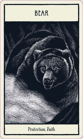 UNTAMED SPIRIT ANIMAL ORACLE