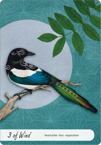 WISE EARTH MEDICINE TAROT	(INGLÉS)