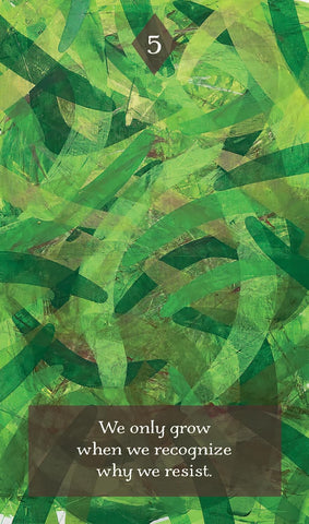 LESSONS FROM THE LIMINAL SPACE (INGLÉS)