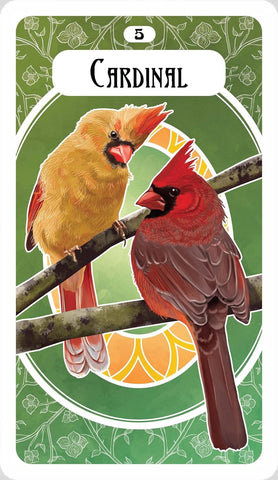 AVIAN ORACLE, THE (INGLÉS)