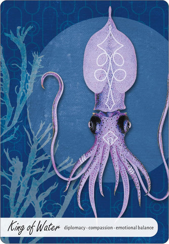 WISE EARTH MEDICINE TAROT	(INGLÉS)