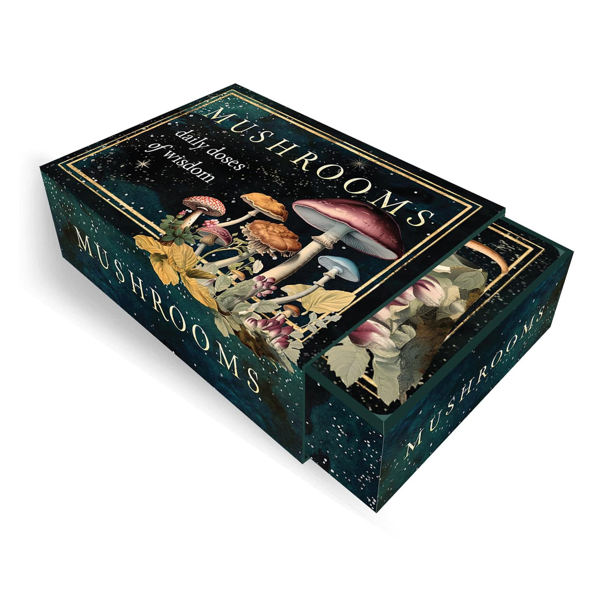 MUSHROOMS. DAILY DOSES OF WISDOM (INGLÉS)