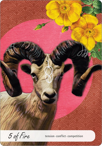 WISE EARTH MEDICINE TAROT	(INGLÉS)