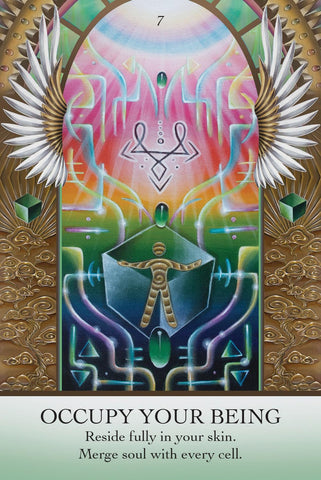 LIGHT CODE APOTHECARY (INGLÉS)