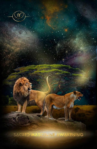 CREATIX AWAKENED ORACLE DECK	(INGLÉS)