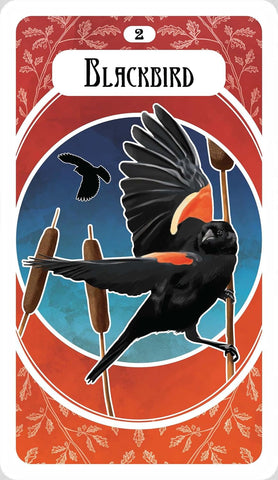 AVIAN ORACLE, THE (INGLÉS)