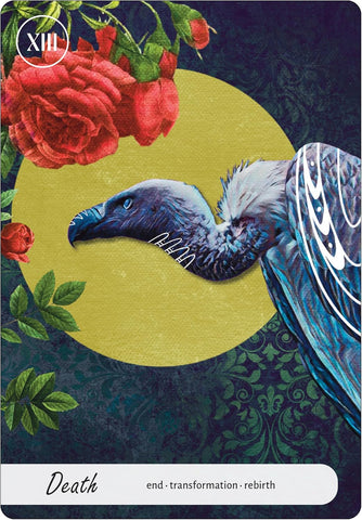 WISE EARTH MEDICINE TAROT	(INGLÉS)