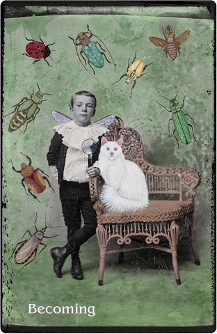 ORACLE OF REWILDING, THE (INGLÉS)