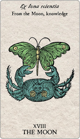 TAROT EMBLEMATA (INGLÉS)