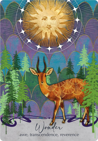 ORACLE OF AWAKENING, THE (INGLÉS)