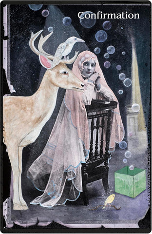 ORACLE OF REWILDING, THE (INGLÉS)