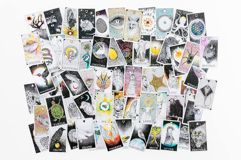 WILD UNKNOWN  POCKET ANIMAL SPIRIT, THE (INGLÉS)