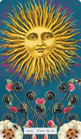 TAROT OF THE COSMIC SEED (INGLÉS)