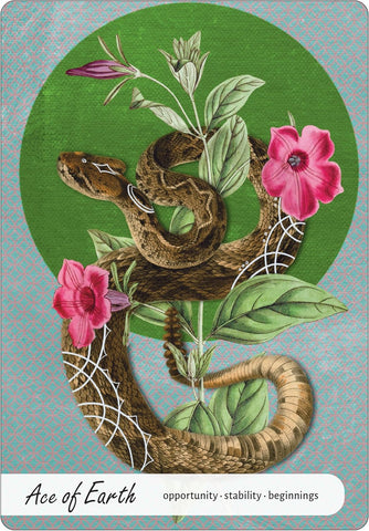 WISE EARTH MEDICINE TAROT	(INGLÉS)