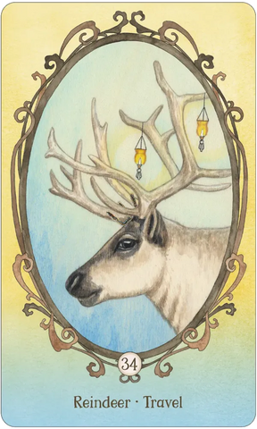 WING, HOOF AND PAW - AN ANIMAL COMPANION ORACLE (INGLÉS)