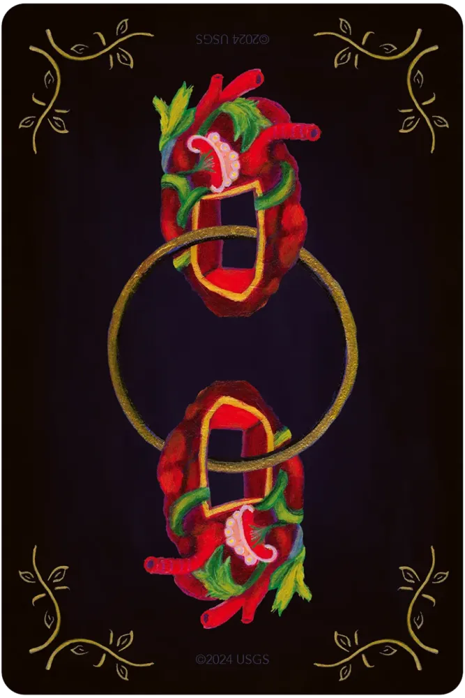 TAROT OF H´ARTS SET (INGLES)