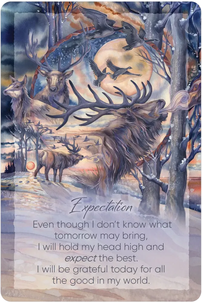 THE LIGHT WITHIN - AFFIRMATIONS FOR DAILY INSPIRATION AND GUIDANCE (INGLÉS)