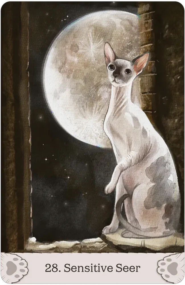 CAT MYTHOS & MAGICK ORACLE (INGLÉS)