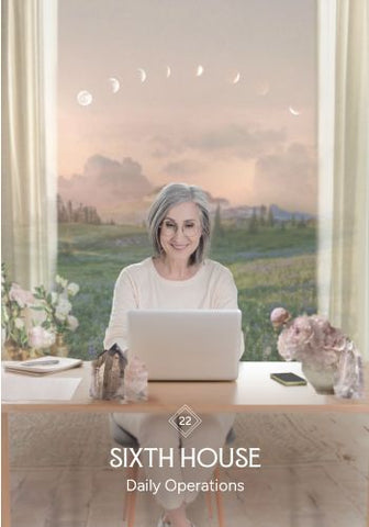 BUSINESS ASTROLOGY ORACLE, THE (INGLÉS)