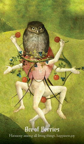 HIERONYMUS BOSCH TAROT