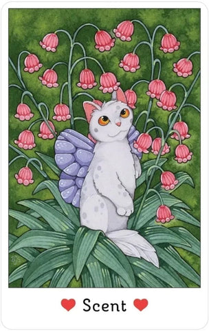 AFFIRMATIONS OF THE FAIRY CATS DECK AND BOOK SET (INGLES)