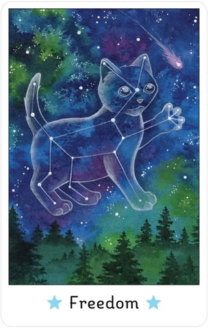 AFFIRMATIONS OF THE FAIRY CATS DECK AND BOOK SET (INGLES)