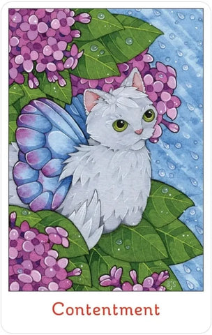 AFFIRMATIONS OF THE FAIRY CATS DECK AND BOOK SET (INGLES)