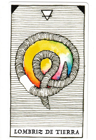 NATURALEZA MISTERIOSA, LA. ESPIRITU ANIMAL (LIBRO Y CARTAS)