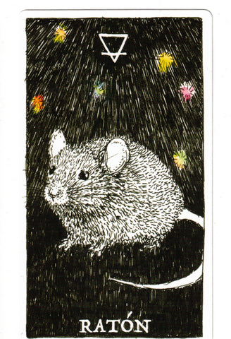 NATURALEZA MISTERIOSA, LA. ESPIRITU ANIMAL (LIBRO Y CARTAS)
