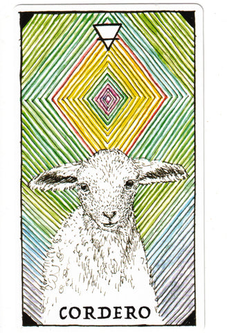 NATURALEZA MISTERIOSA, LA. ESPIRITU ANIMAL (LIBRO Y CARTAS)