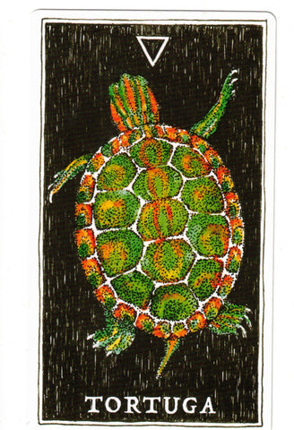 NATURALEZA MISTERIOSA, LA. ESPIRITU ANIMAL (LIBRO Y CARTAS)