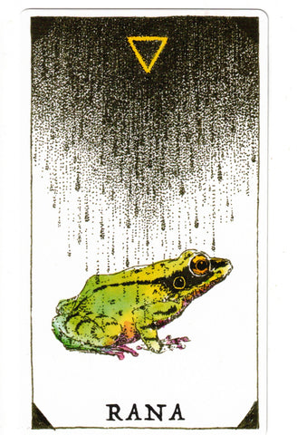 NATURALEZA MISTERIOSA, LA. ESPIRITU ANIMAL (LIBRO Y CARTAS)