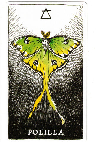 NATURALEZA MISTERIOSA, LA. ESPIRITU ANIMAL (LIBRO Y CARTAS)