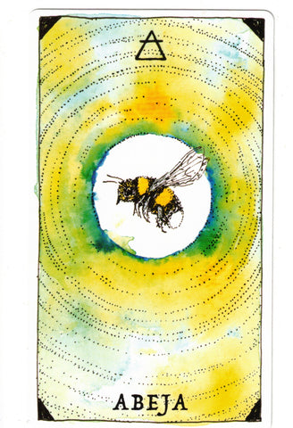 NATURALEZA MISTERIOSA, LA. ESPIRITU ANIMAL (LIBRO Y CARTAS)