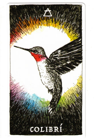 NATURALEZA MISTERIOSA, LA. ESPIRITU ANIMAL (LIBRO Y CARTAS)