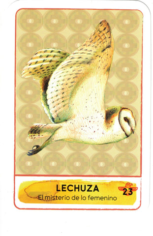 MEDICINA DE LOS ANIMALES DE LA CRUZ DEL SUR, LA (LIBRO Y CARTAS)