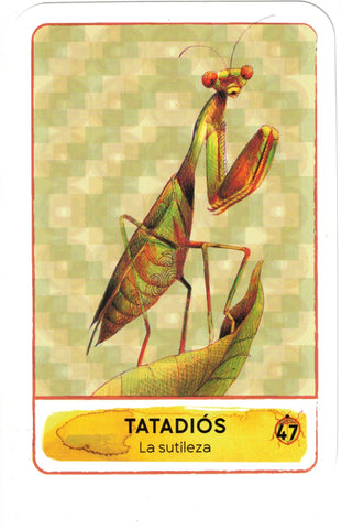 MEDICINA DE LOS ANIMALES DE LA CRUZ DEL SUR, LA (LIBRO Y CARTAS)