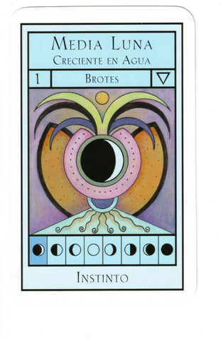 ORACULO DE LA LUNA, EL. GUIA TU VIDA SEGUN LOS CICLOS LUNARES (LIBRO Y CARTAS)