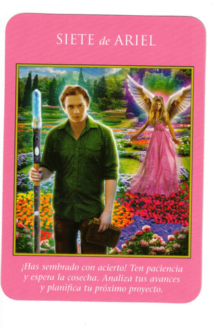 PODER DE LOS ARCANGELES, EL. TAROT DE 78 CARTAS Y LIBRO GUIA
