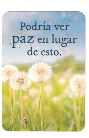 MILAGROS DIARIOS (LIBRO Y CARTAS DE UN CURSO DE MILAGROS)